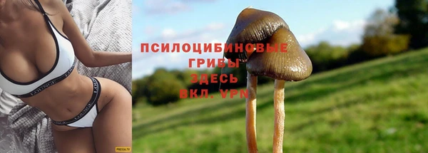 хмурый Богданович