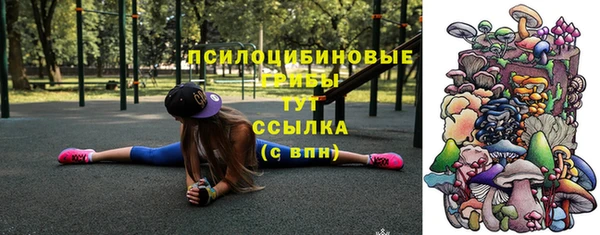 хмурый Богданович